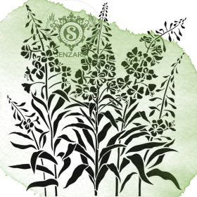 Трафарет - Иван чай